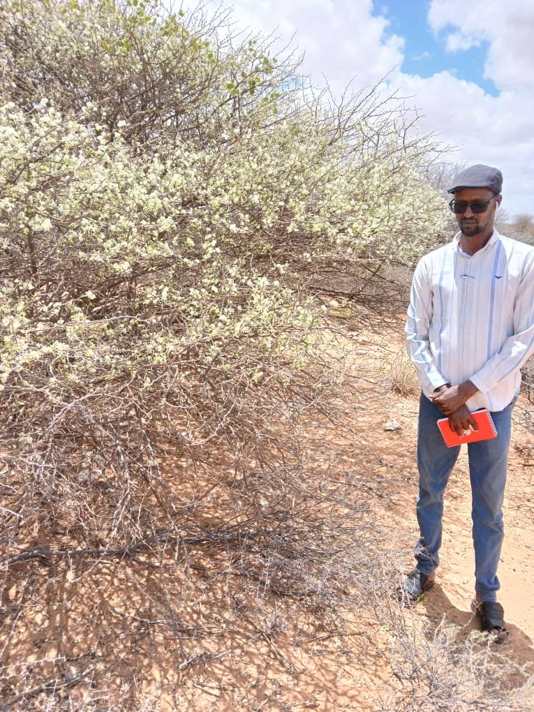 Abdi Salam, founder of All Days Honey